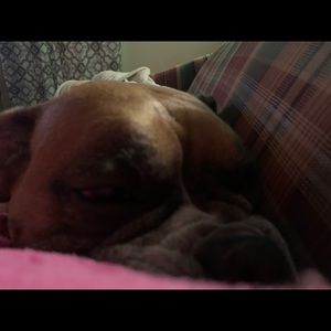 Meet your Posher, Cameron